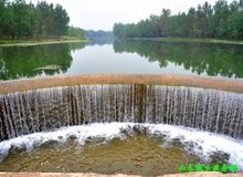 中國豆制品第一鎮(zhèn)